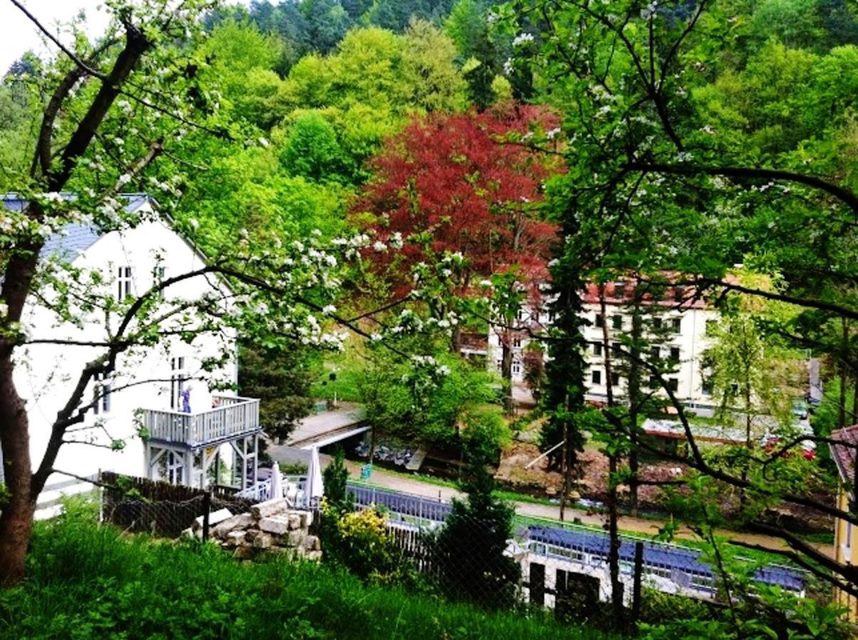 Cosy In 50 M² With Internet * Bad Schandau